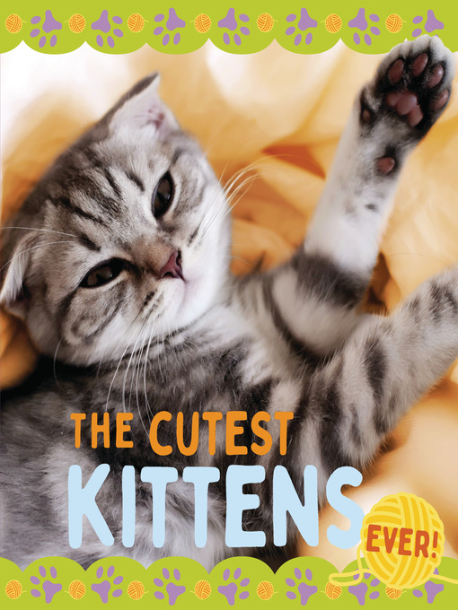 Cover image for The Cutest Kittens